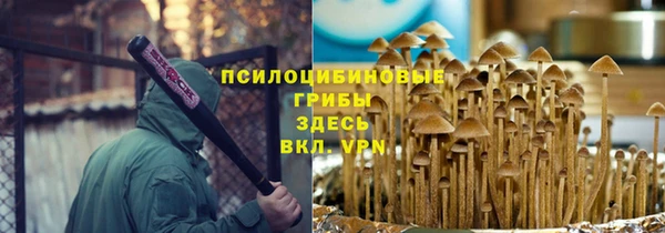ПСИЛОЦИБИНОВЫЕ ГРИБЫ Нея