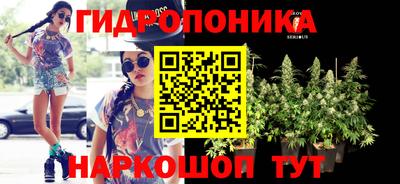 шишки Апрелевка