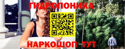 скорость Жуковский