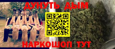 скорость Жуковский