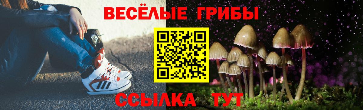 Костомукша  Галлюциногенные грибы Cubensis  Вход с VPN  Псилоцибиновые грибы мухоморы 