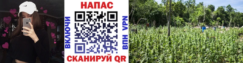наркошоп  маркетплейс какой сайт  Каннабис план  Костомукша 